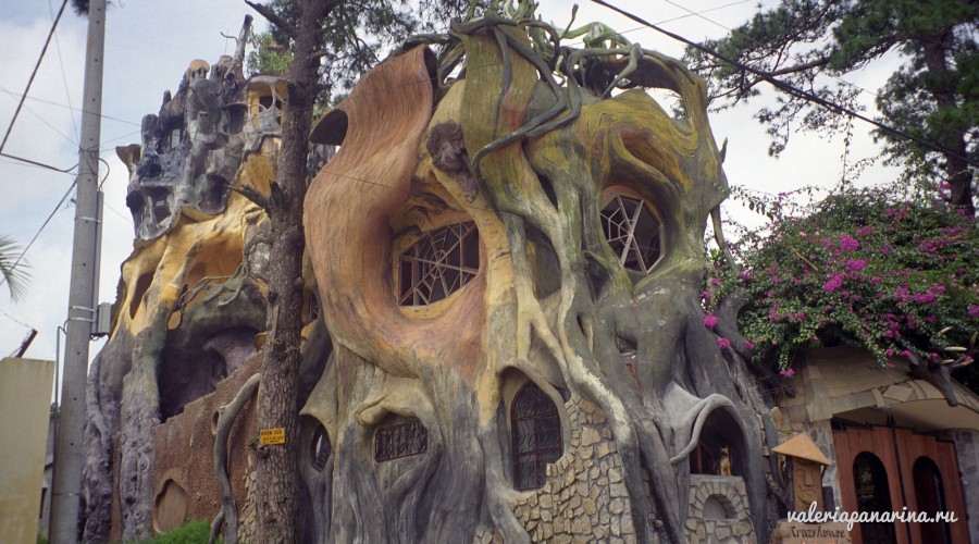 Пункт назначения – Сумасшедший дом | Валерия Панарина